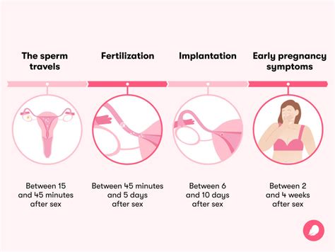 sex tubes|Sex after pregnancy: Set your own timeline